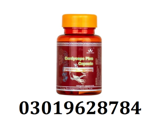 Cordyceps Plus Capsule in Pakistan | 03019628784