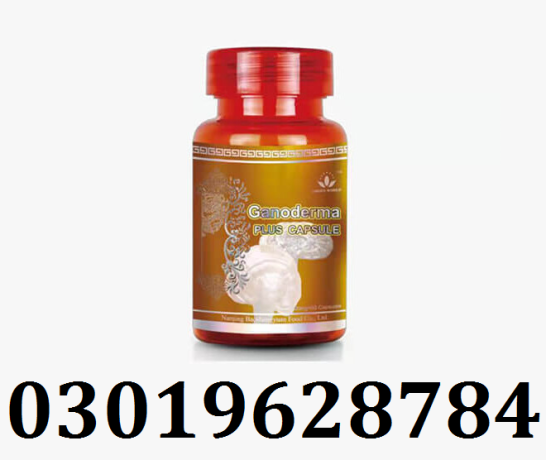 ganoderma-plus-capsule-in-pakistan-03019628784-big-0