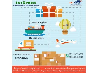 923214710522 Rapid Courier Services at SkyXpress