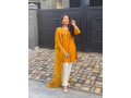 923493000660-slim-smart-girls-available-in-islamabad-only-for-full-night-small-2