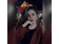 03071404444-mr-osama-escorts-vip-real-escorts-deal-lahore-models-actors-tiktok-models-university-girls-247-mr-osama-03071404444-small-3