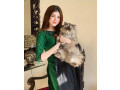 03051454555-meet-teenage-young-escorts-available-in-islamabadrawalpindi-bahria-town-247-small-2