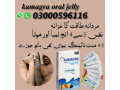 kamagra-100mg-oral-jelly-price-in-pakistan-03000596116-small-0