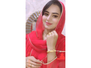 Only video call service WhatsApp nombr 03496351898