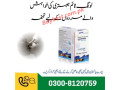 0300-8120759-kamagra-100mg-oral-jelly-in-sialkot-1-week-pack-small-0