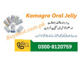 0300-8120759-kamagra-100mg-oral-jelly-in-kasur-1-week-pack-small-0