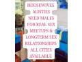 abbottabad-housewives-need-males-small-0