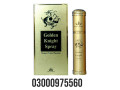 gold-spray-paint-300ml-price-in-faisalabad-call-03000975560-small-0