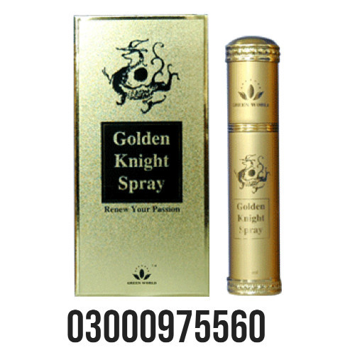 Gold Spray Paint 300ml Price in Quetta Call 03000975560