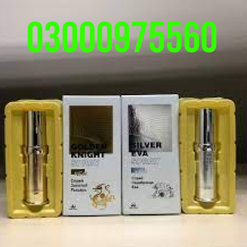 gold-spray-paint-300ml-price-in-gujrat-call-03000975560-small-1