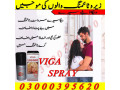 viga-100000-delay-spray-in-pakistan-03000395620-small-0