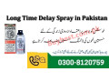 strong-lion-power-28000-delay-spray-in-jaranwala-0300-8120759-small-0