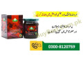 turkish-epimedium-macun-in-lahore-03008120759-online-shipping-small-0